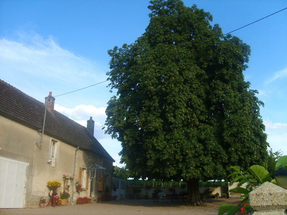 Bed and Breakfast Armalou à Pouilly-sur-Loire Extérieur photo